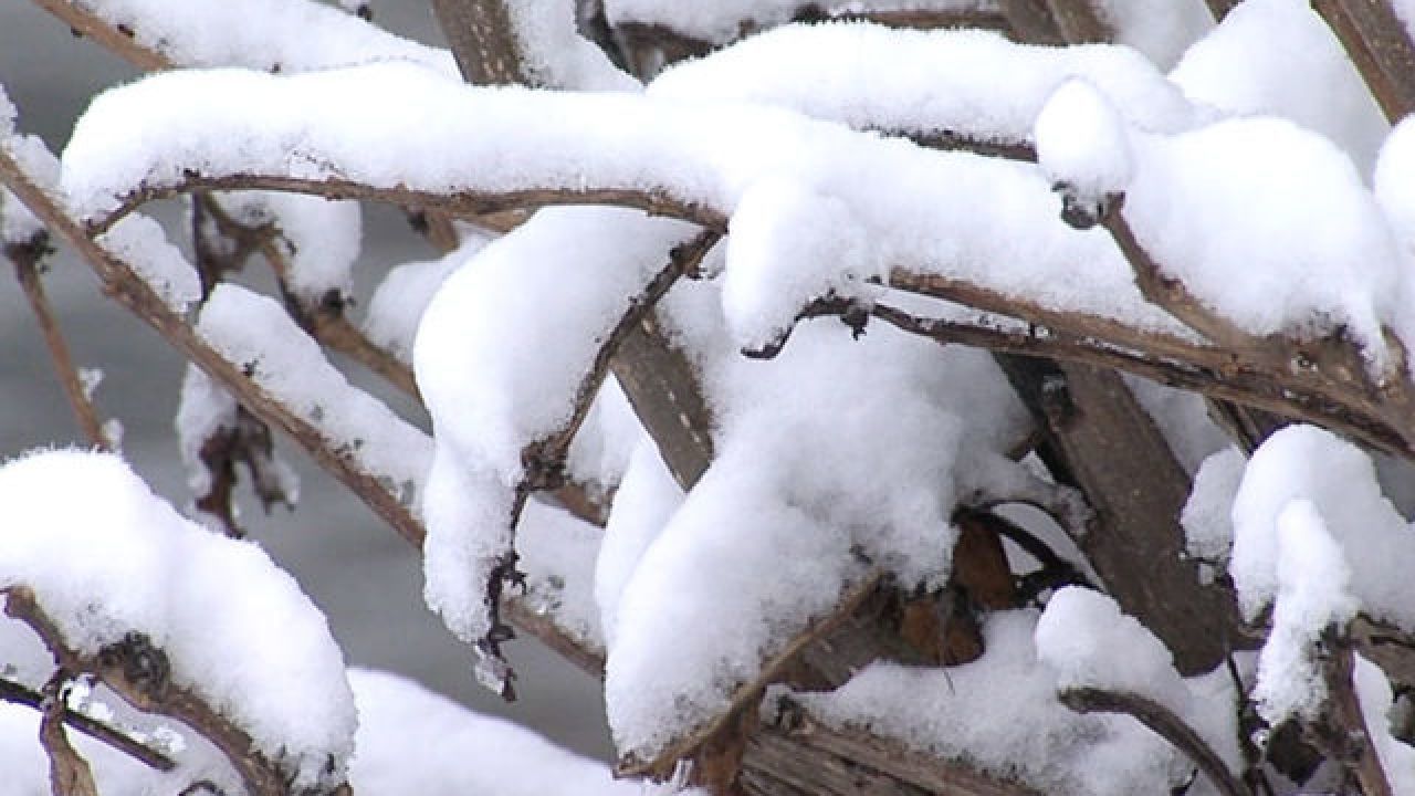 Springfield extends snow emergency until Saturday night